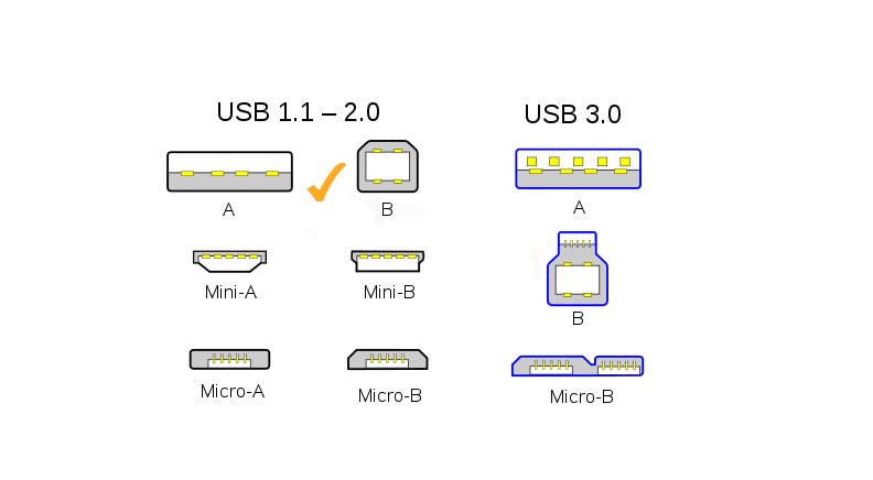 كانكتور USB-B مادگی